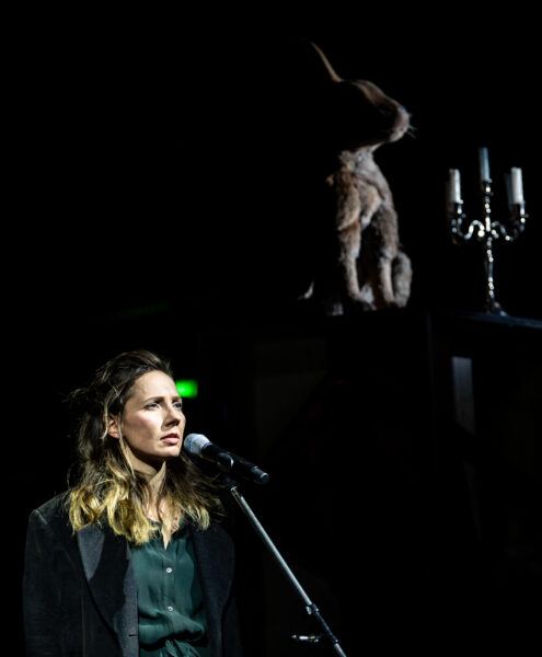 Sara Wendt/ If I Can’t Dance It’s Not My Revolution/ Costume and Stage