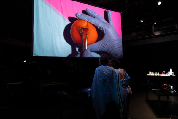 Sara Wendt/ Turn The P/Age/ Costume